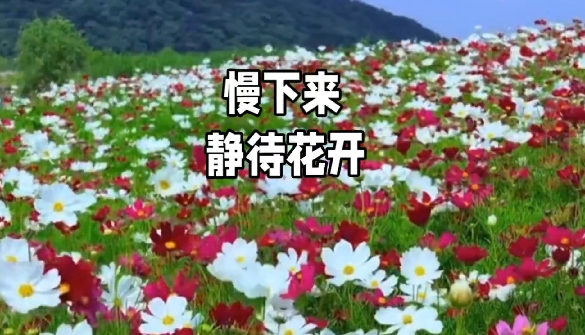 耐心等待,生活会给你最好的答案