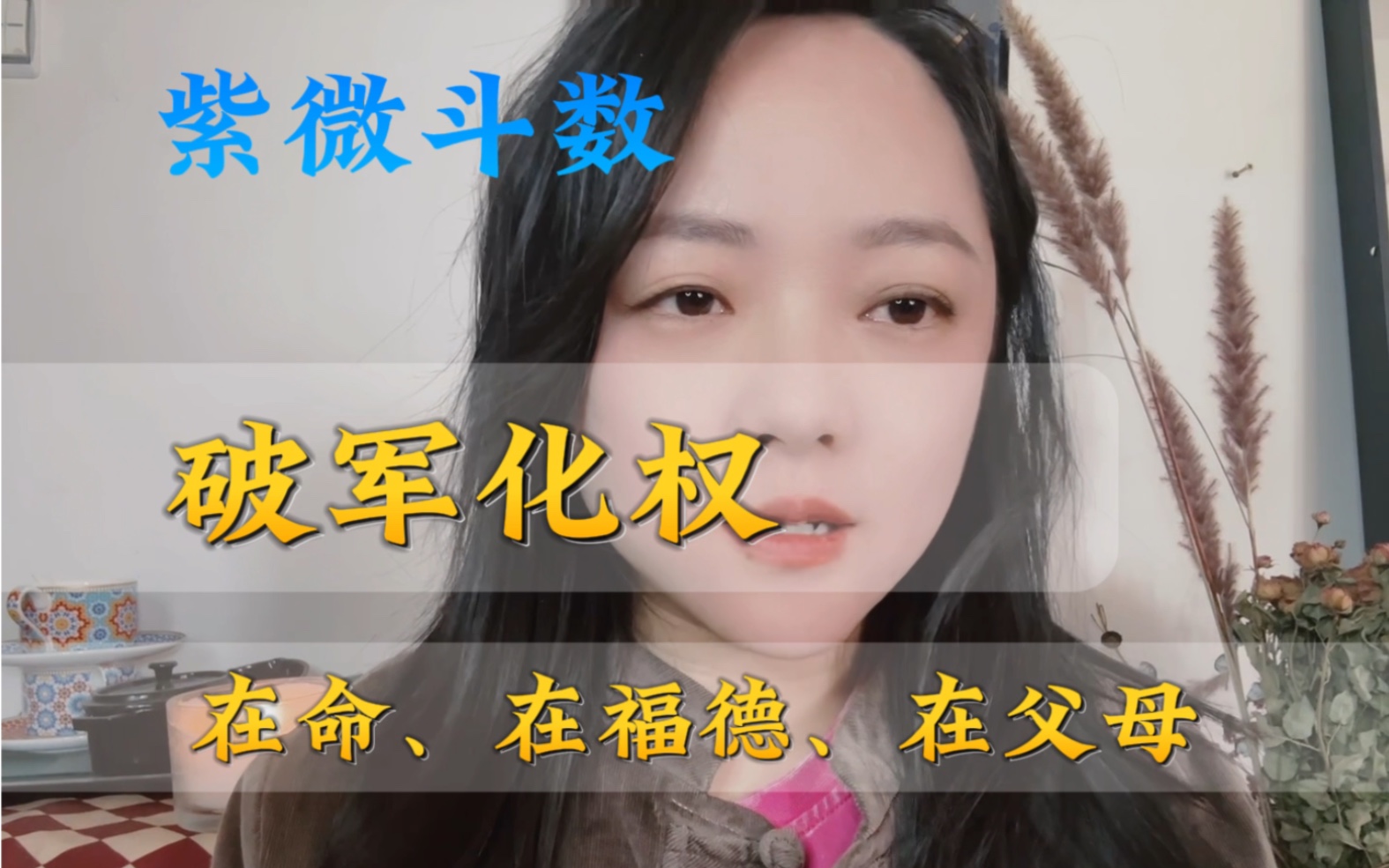 破军化权,破旧立新|紫微斗数哔哩哔哩bilibili