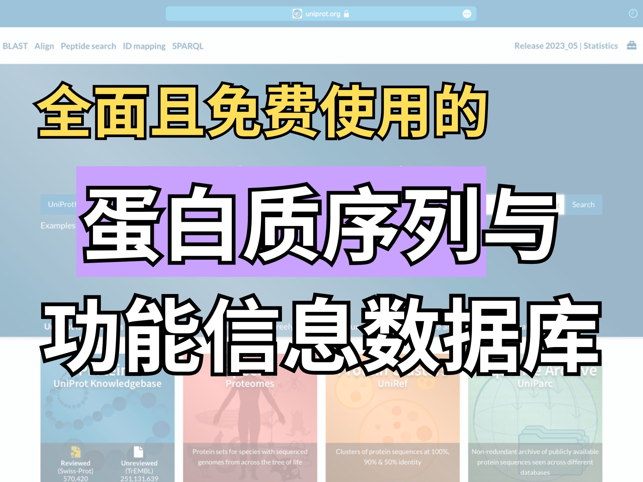 一分钟教你使用一个免费、好用的科研网站——Uniprot!哔哩哔哩bilibili