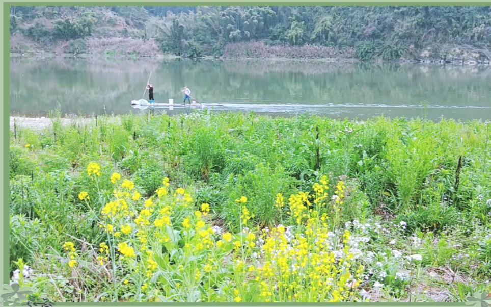 [图]在花开的季节等你，水上小竹排，山坡上开满了野花，等你来为我摘下那醉美的一朵。河岸边一朵朵艳丽的油菜花，如一张张甜美的笑脸，向我微笑点头，微风吹过任花瓣亲吻我的脸