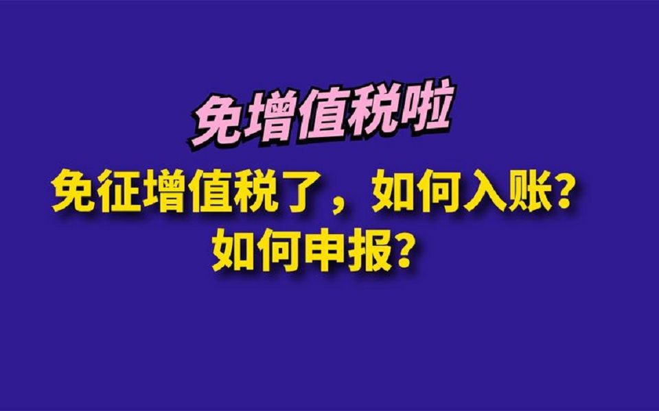 免征增值税了,如何入账?如何申报?哔哩哔哩bilibili