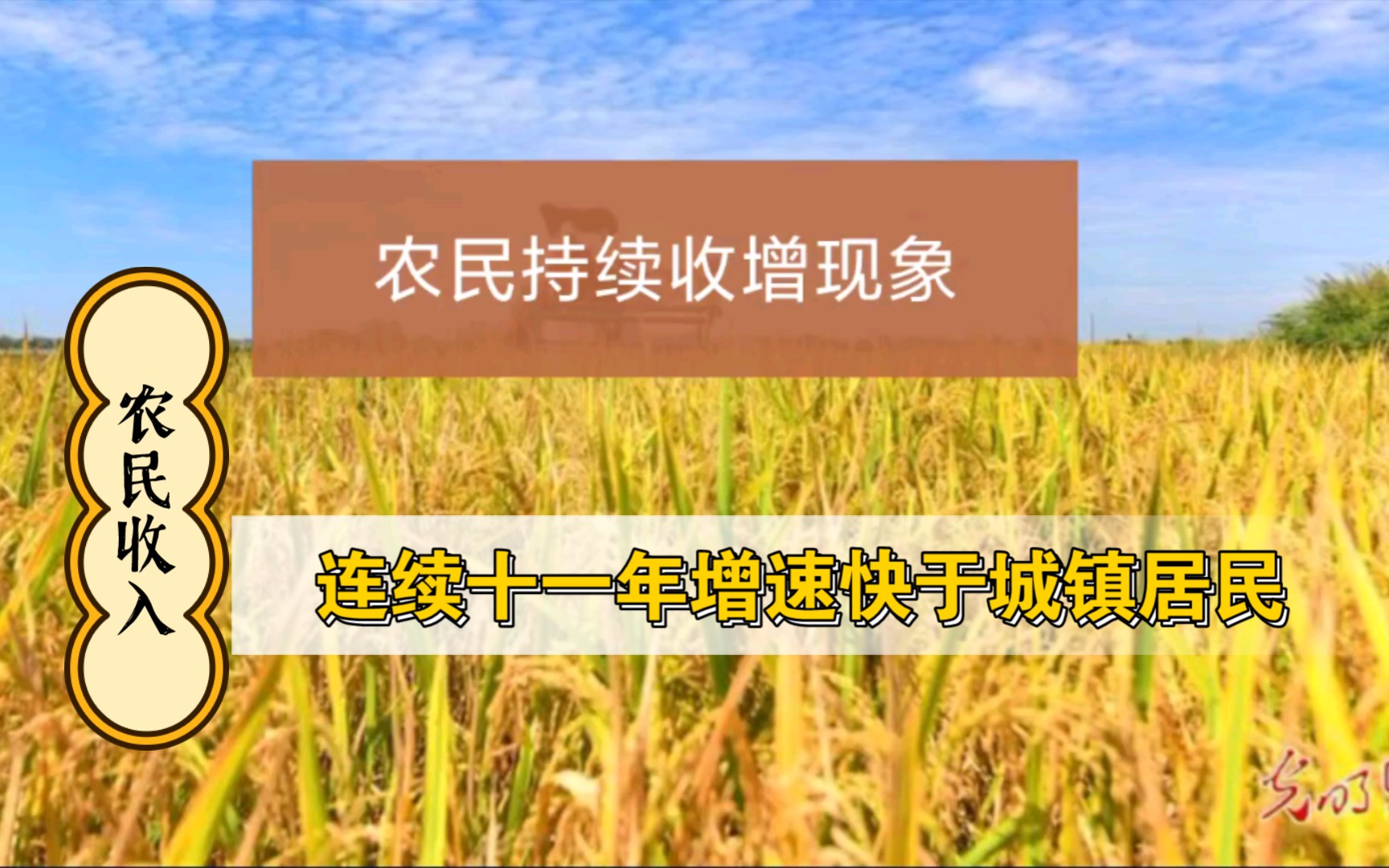 如何看待农民收入增长连续11年快于城镇居民?哔哩哔哩bilibili