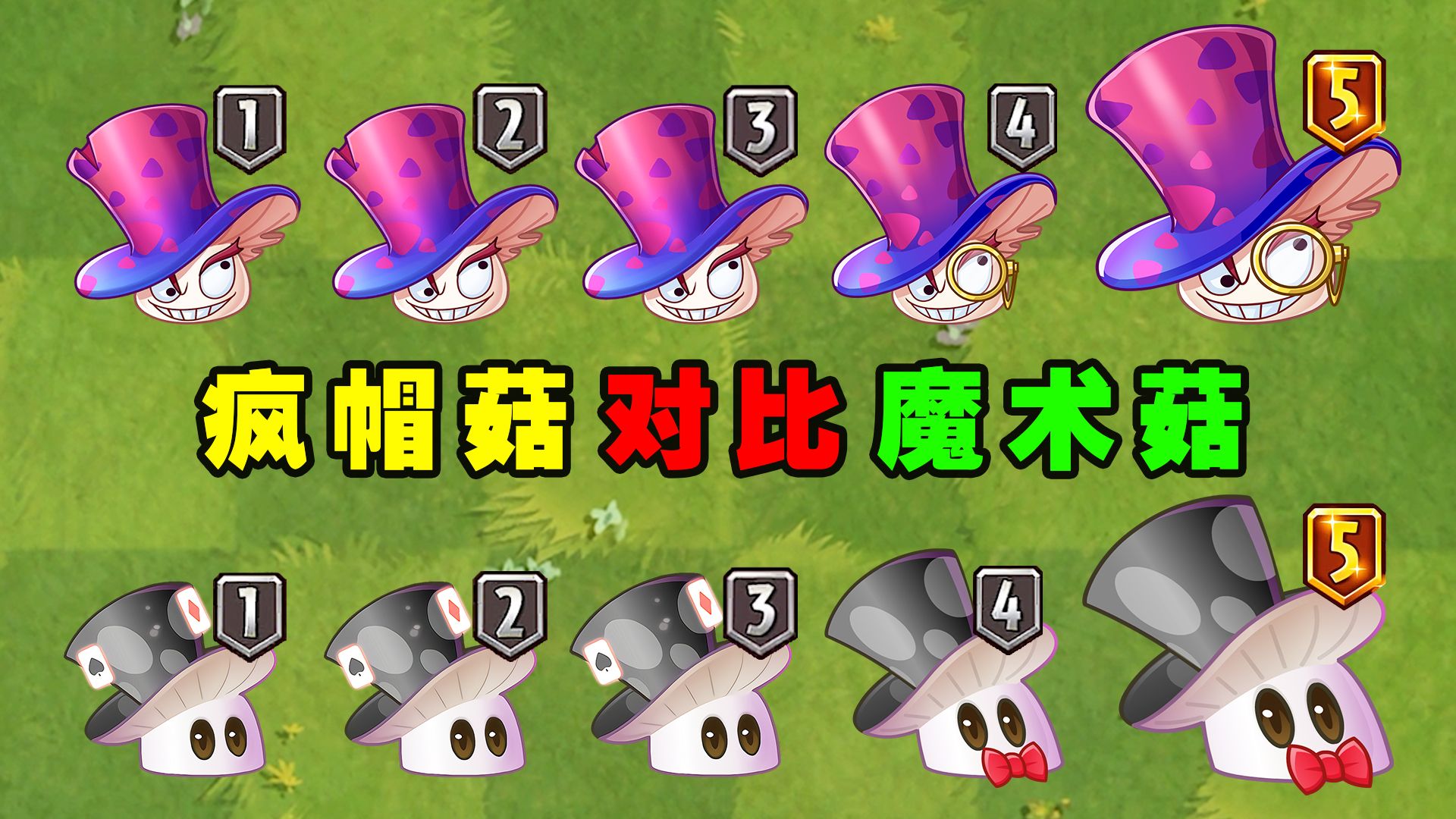 疯帽菇和魔术菇1至5阶对比,谁的攻击更胜一筹?