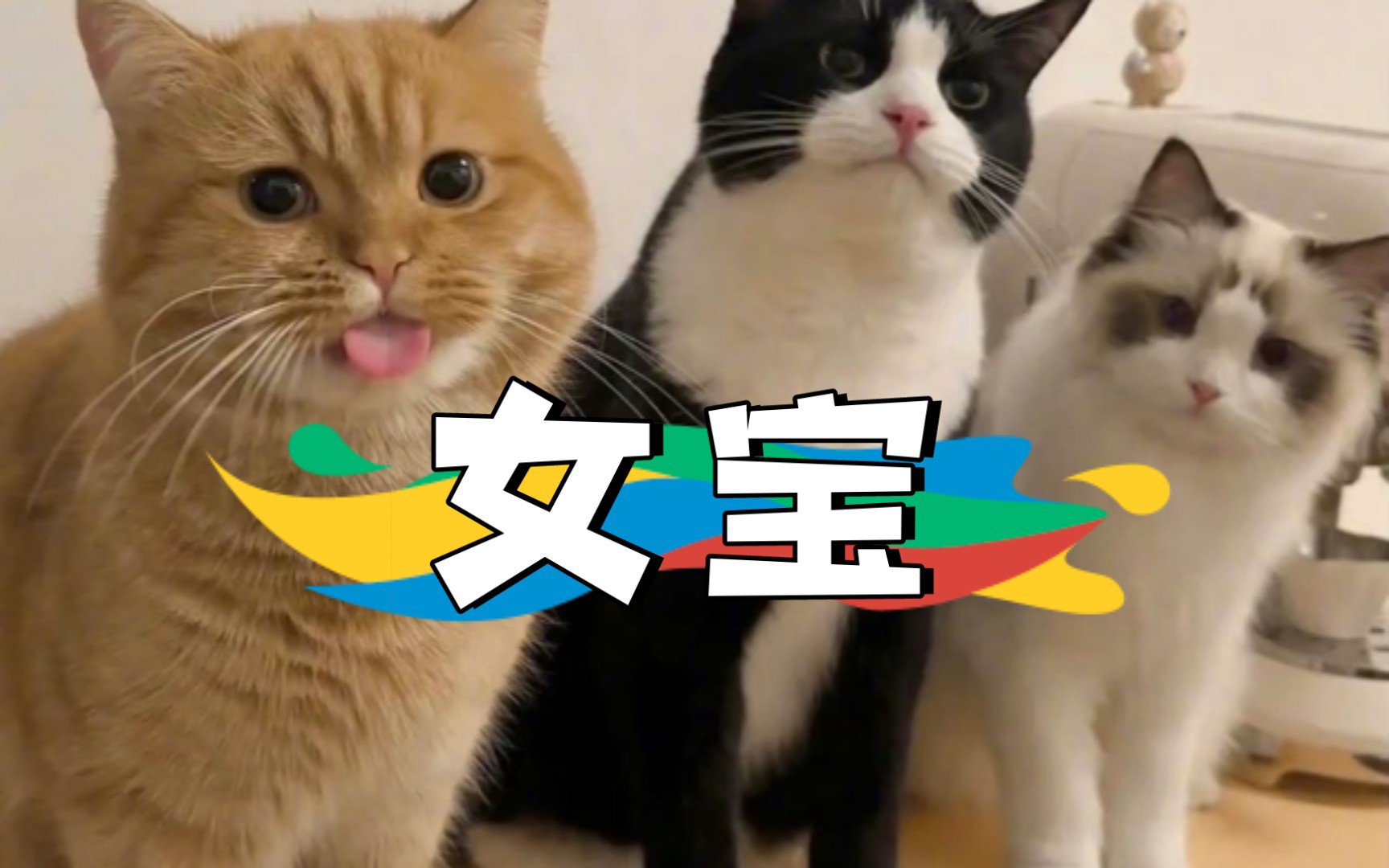 我作为女宝妈,我都不需要读什么女权理论,我就纯从母性直觉来讲,我看