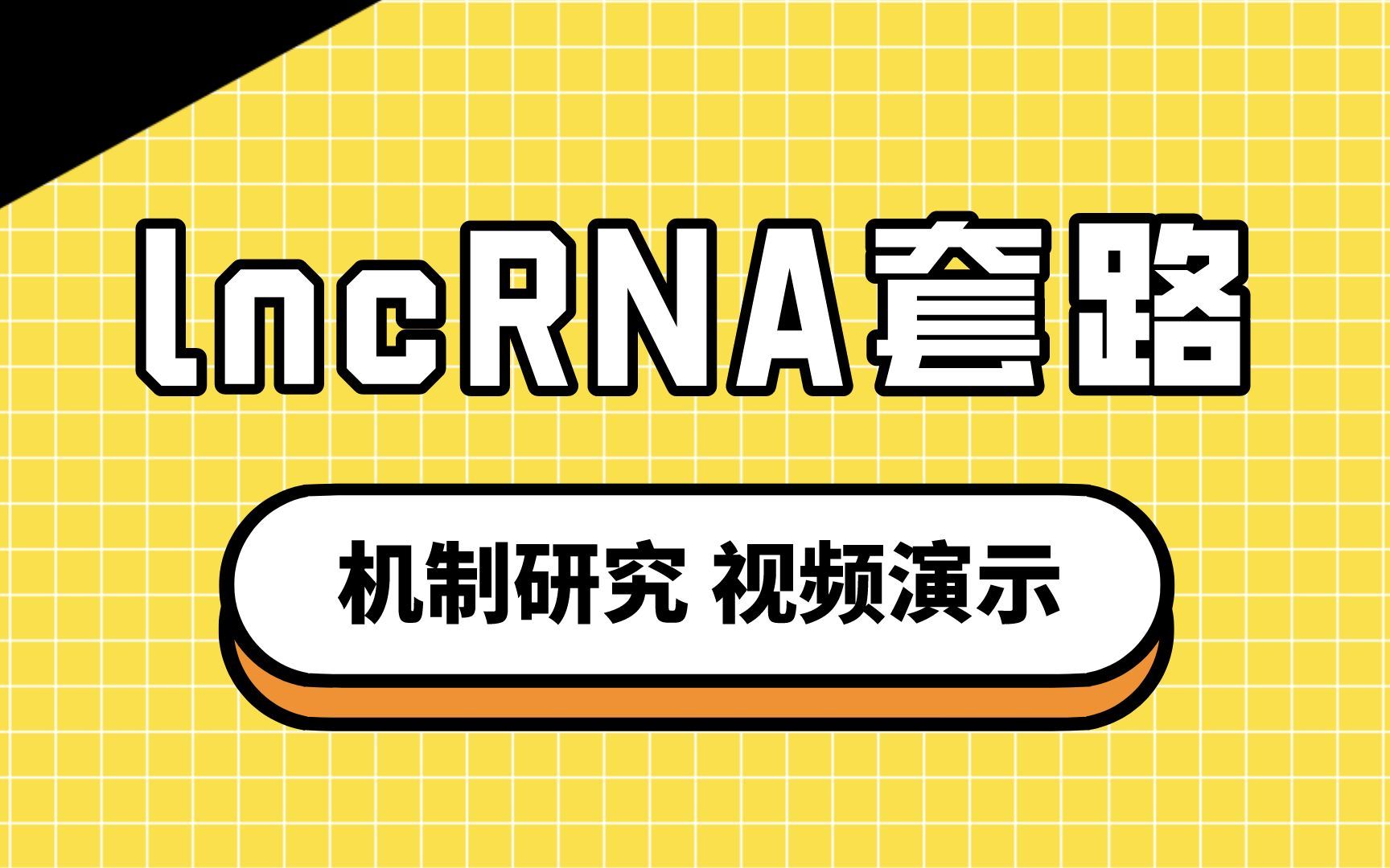 lncRNA结构和功能,生信小白必学,零基础速成哔哩哔哩bilibili