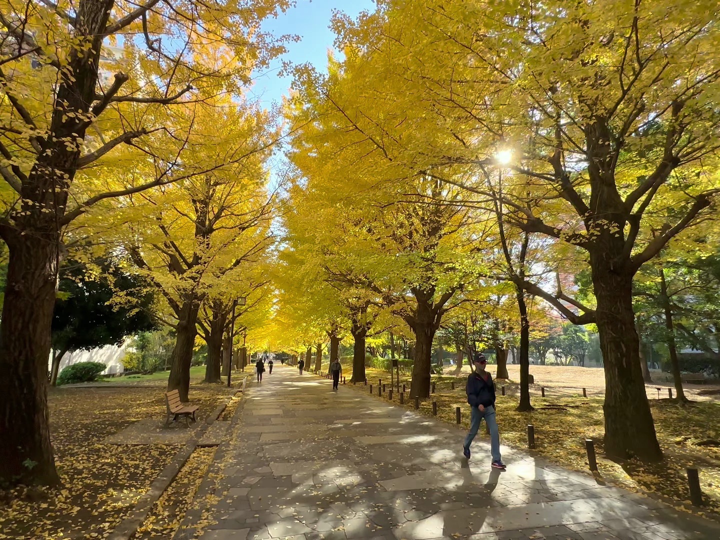 asmr,沉浸式漫步,云旅游,日本东京,练马区(4k60 hdr杜比视界)