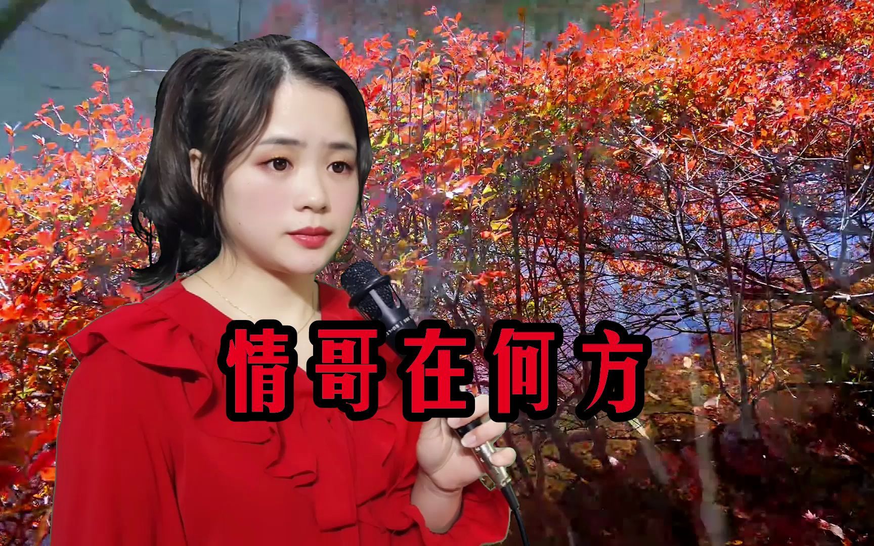 [图]一首DJ情歌《情哥在何方》旋律优美，歌声嘹亮，送给心中哥哥！