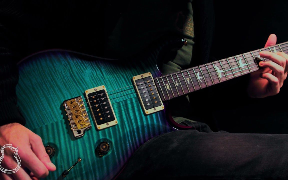 [图][4K]长草这个新颜色 PRS Custom 22 10 Top, Cobalt Blue Wrap Burst - Joel Bauman