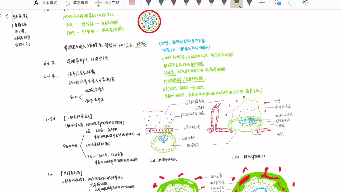 【学习】组胚胚前期学习笔记讲解Part I哔哩哔哩bilibili