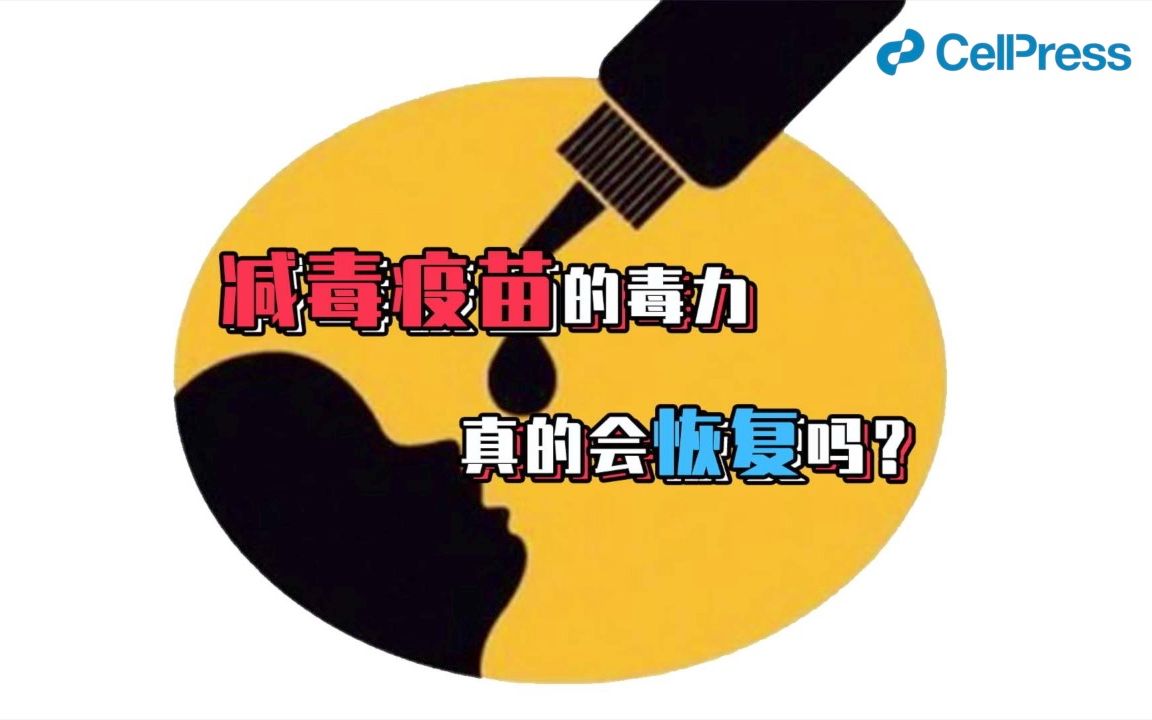 减毒疫苗的毒力真的会恢复吗?【CellPress细胞科学哔哩哔哩bilibili