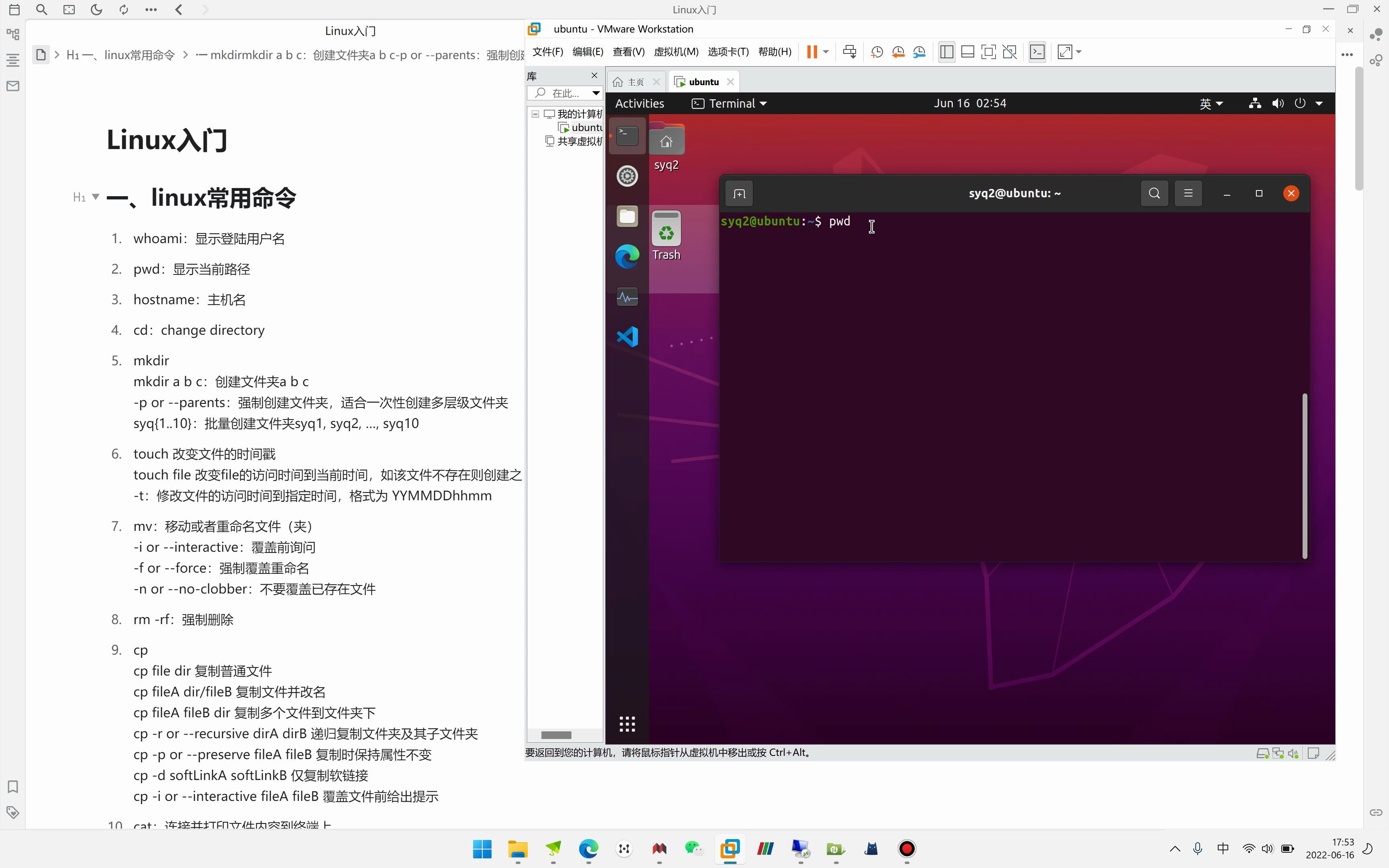 Linux(Bash)命令入门哔哩哔哩bilibili