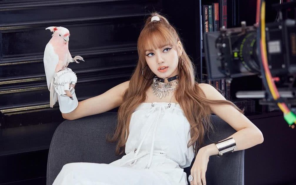 lisa - whistle 演唱会舞蹈 - 韩国blackpink女团_哔哩哔哩_bilibili