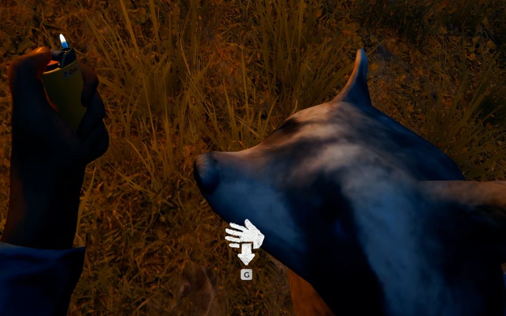 comrade带你体验捕猎"火箭"浣熊 森林(the forest)双人生存实况第四天