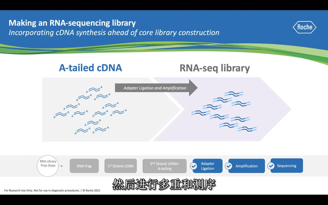 简介RNA(核糖核酸)及RNA测序哔哩哔哩bilibili