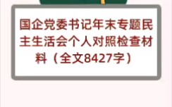 国企党委书记年末专题民主生活会个人对照检查材料(全文8427字)哔哩哔哩bilibili