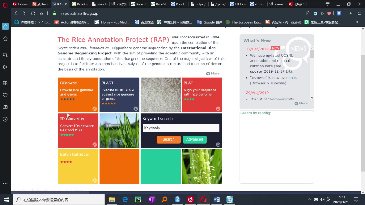 R语言 水稻基因ID转换和文献检索哔哩哔哩bilibili