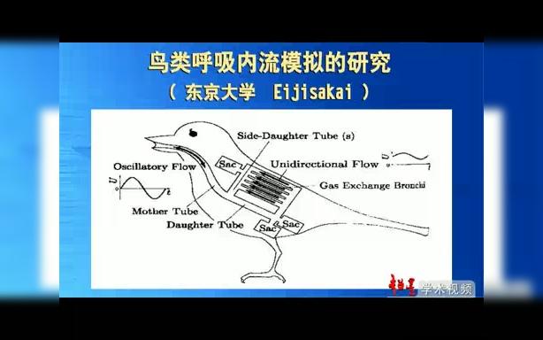 华中科技大学 叶轮机械内部流动实验分析 全27讲 主讲吴克启 视频教程哔哩哔哩bilibili