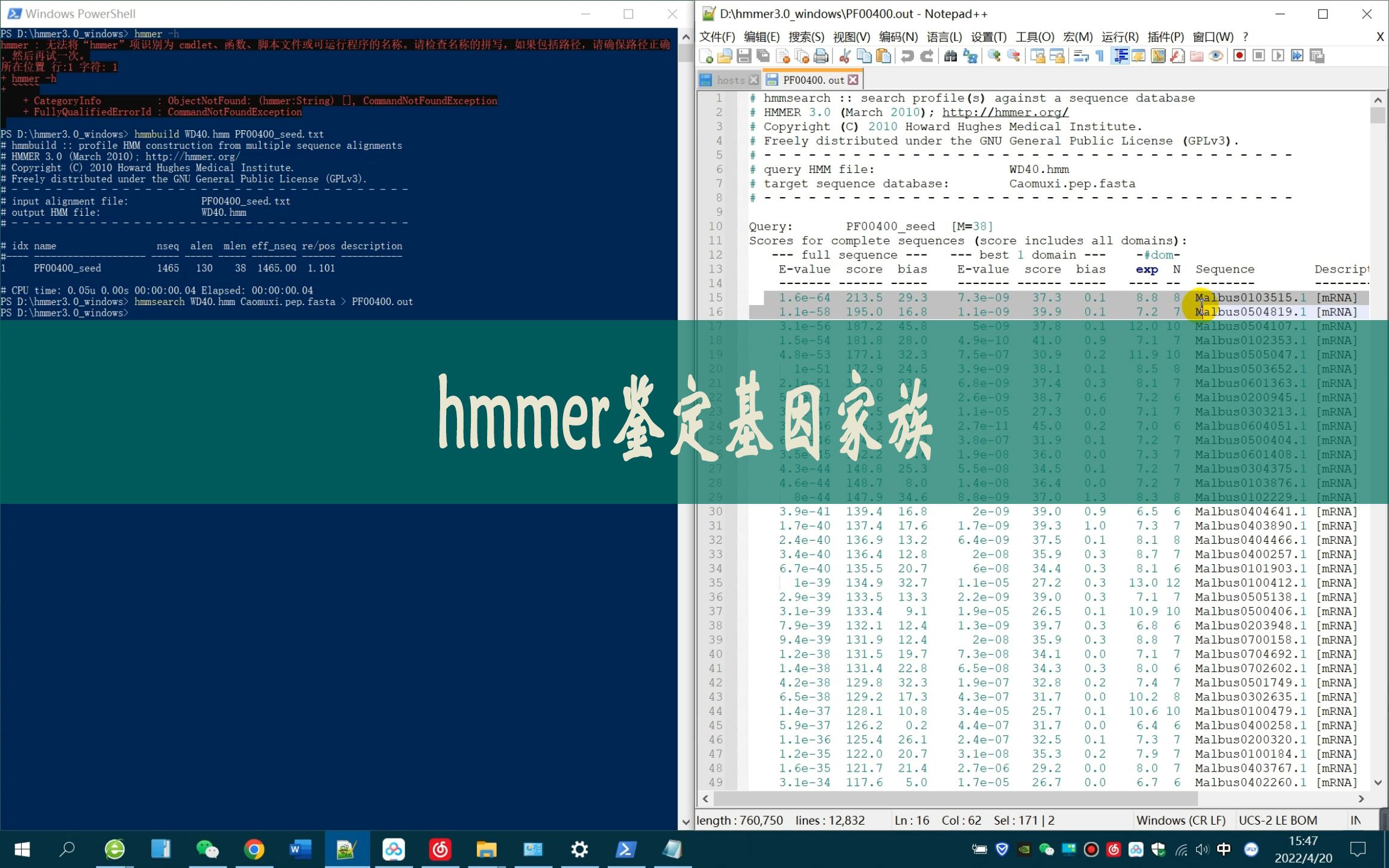 hmmer鉴定基因家族哔哩哔哩bilibili