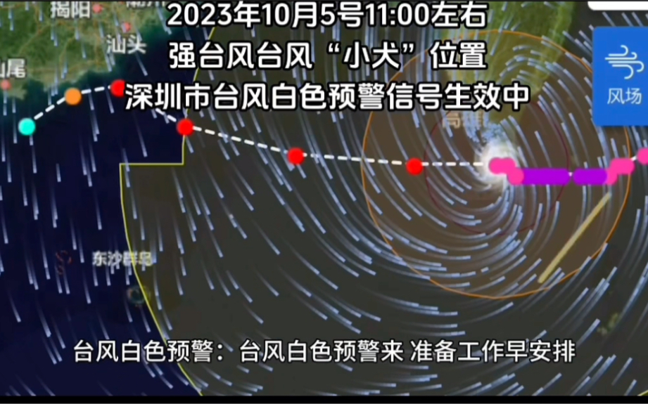 注意!受强台风“小犬”影响,深圳市台风白色预警信号生效中!#台风#台风小犬#深圳天气哔哩哔哩bilibili