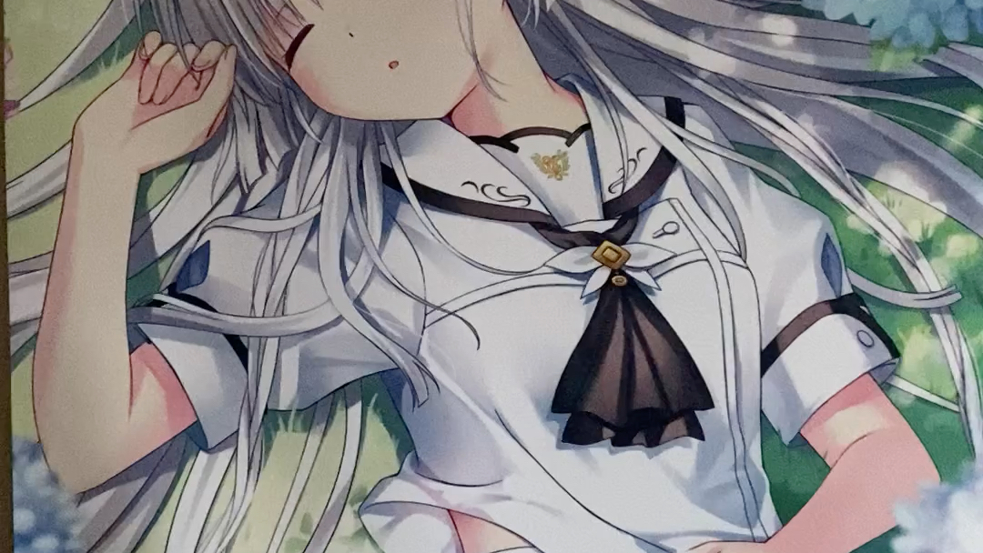 【开箱】summerpockets鸣濑白羽 周边