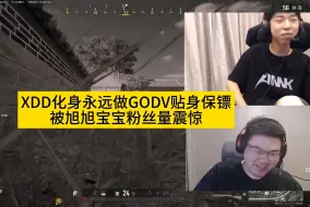 XDD化身永远做GODV贴身保镖，被旭旭宝宝粉丝量震惊！