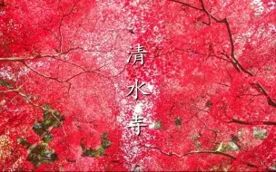 Descargar video: 紅に染まる晩秋の清水寺 - 4K