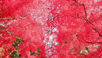 紅に染まる晩秋の清水寺 - 4K