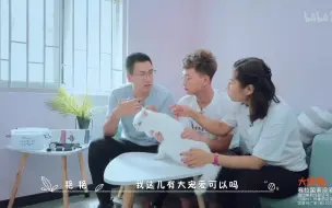 Download Video: 大宠爱猫咪驱虫药除耳螨效果怎么样？