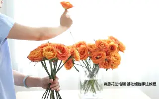 花艺课程 搜索结果 哔哩哔哩 Bilibili