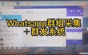 Download Video: Whatsapp《群发》《筛选》《群组采集群成员》