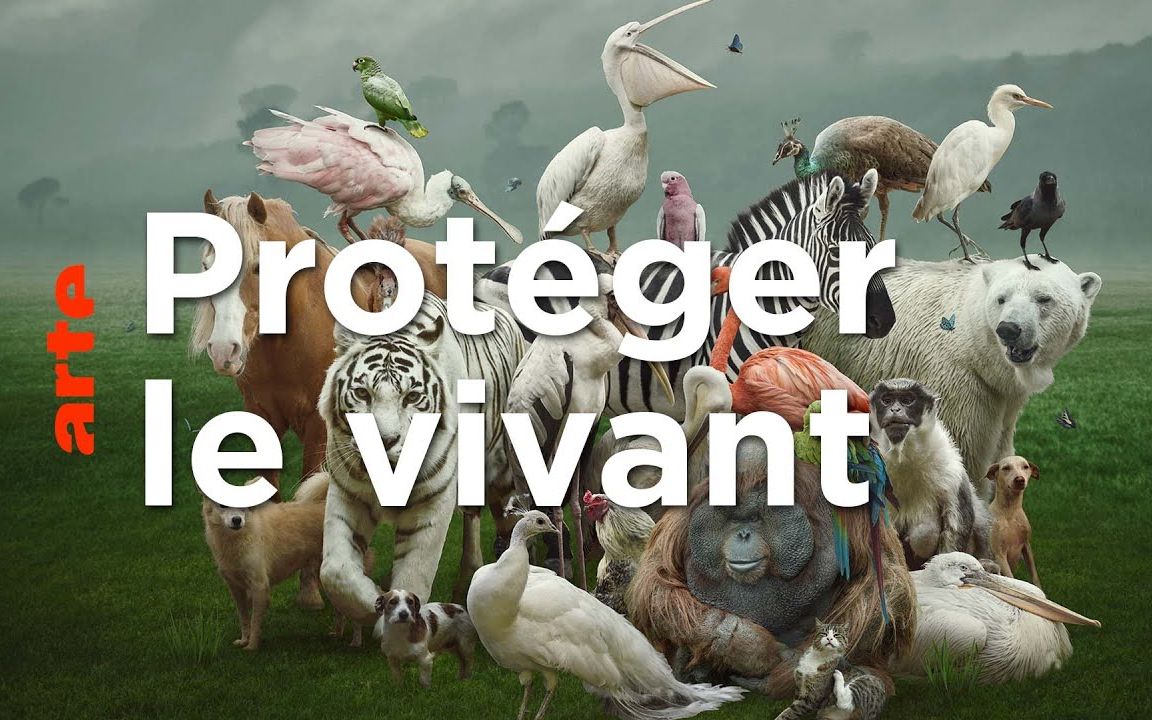 [图]【28 Minutes - ARTE】法语字幕 | 保护生物多样性 | Protéger le vivant | Bruno David