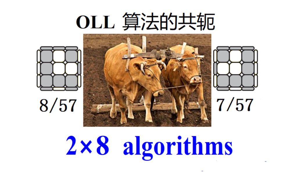 OLL算法的共轭:OLL (7/57) 和 OLL (8/57)哔哩哔哩bilibili