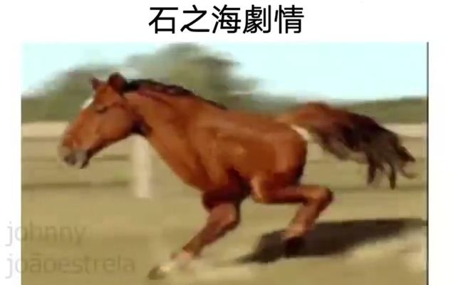 [图]石之海的剧情 be like