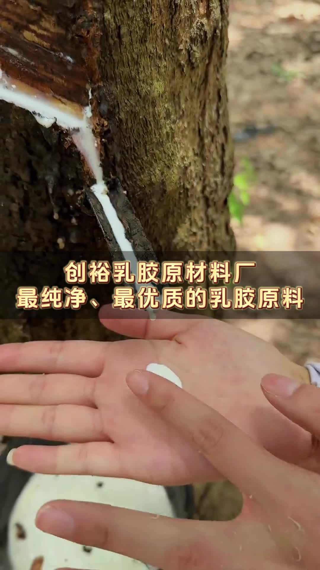 天然乳胶原装进口,品质高于一切,中山创裕天然乳胶欢迎联系!哔哩哔哩bilibili