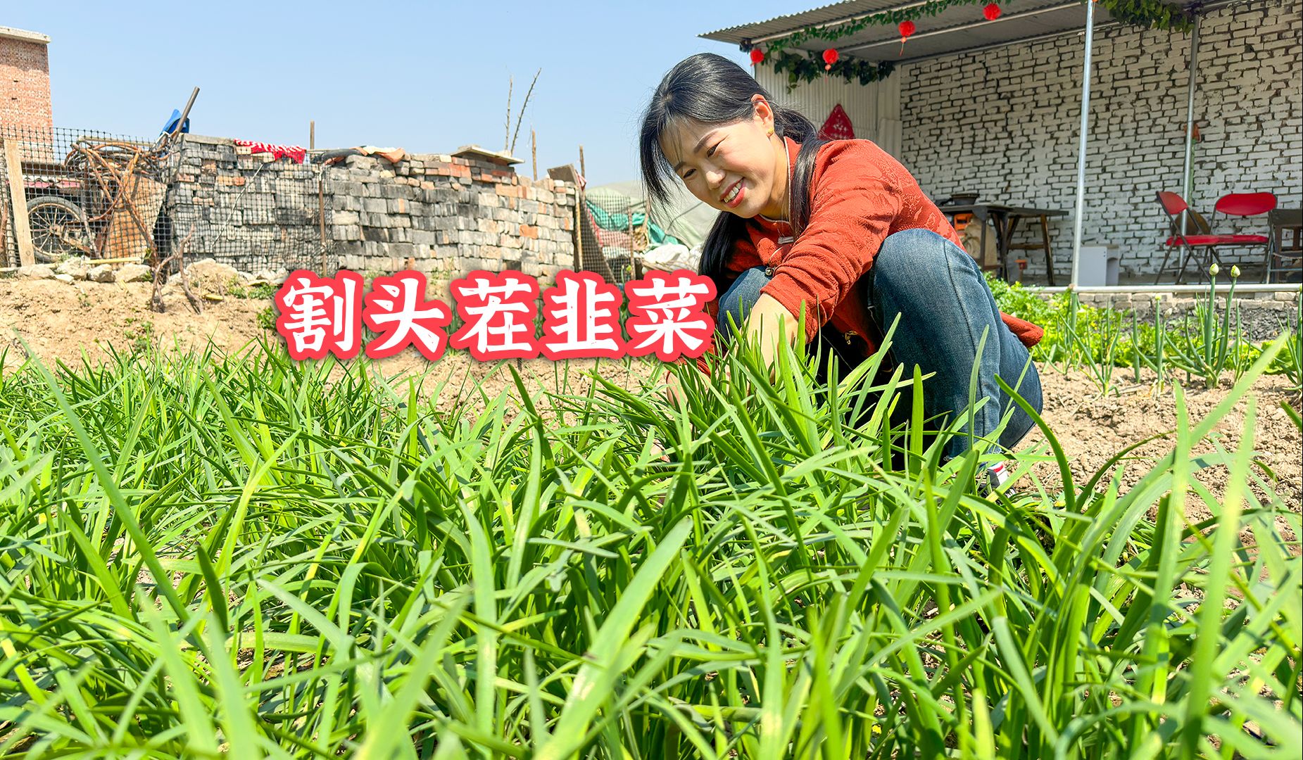 割头茬韭菜吃蒸饺,味道特浓,一口下去鲜掉眉毛哔哩哔哩bilibili