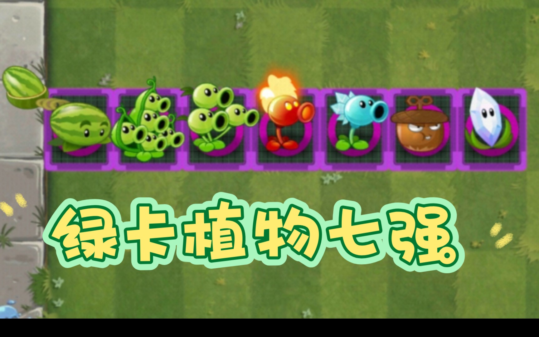 [pvz2][植物大战僵尸2]绿卡植物七强