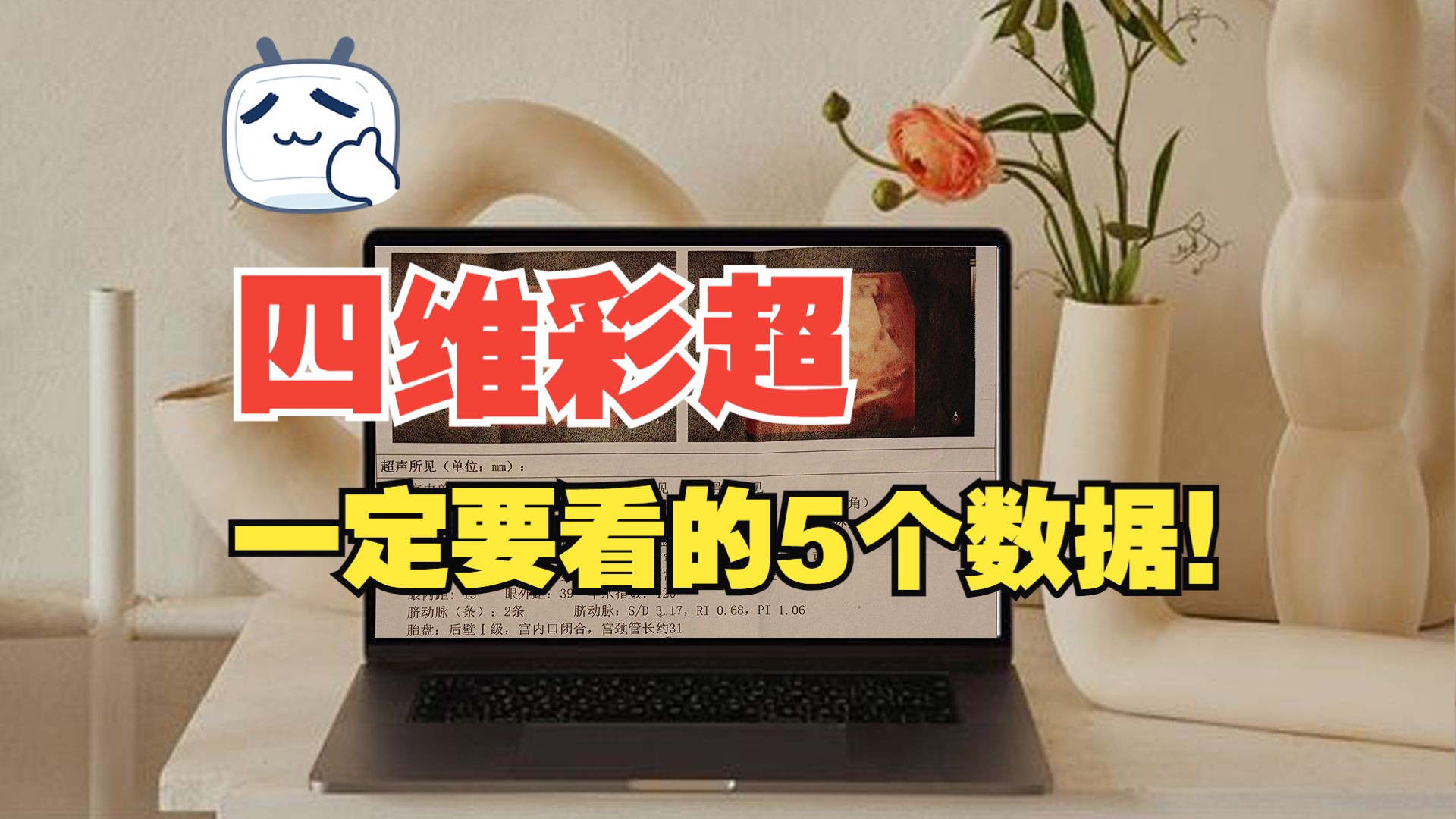 四维彩超检查报告怎么看,1分钟带你这了解5个不容错过的数据!哔哩哔哩bilibili