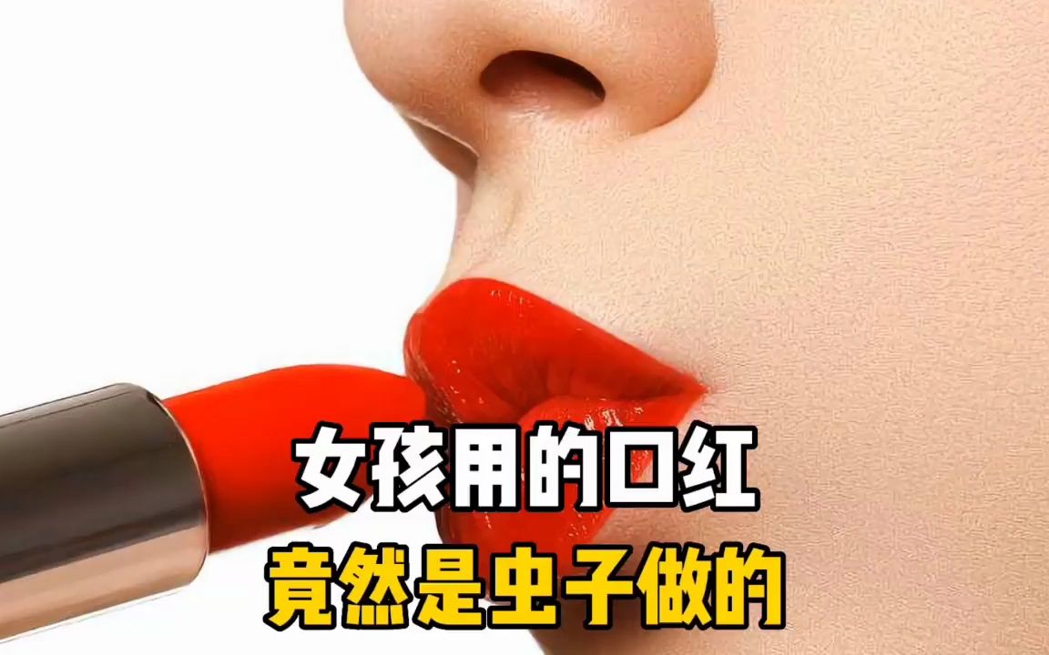 虫唇膏(冲出纳粹的专列国语)