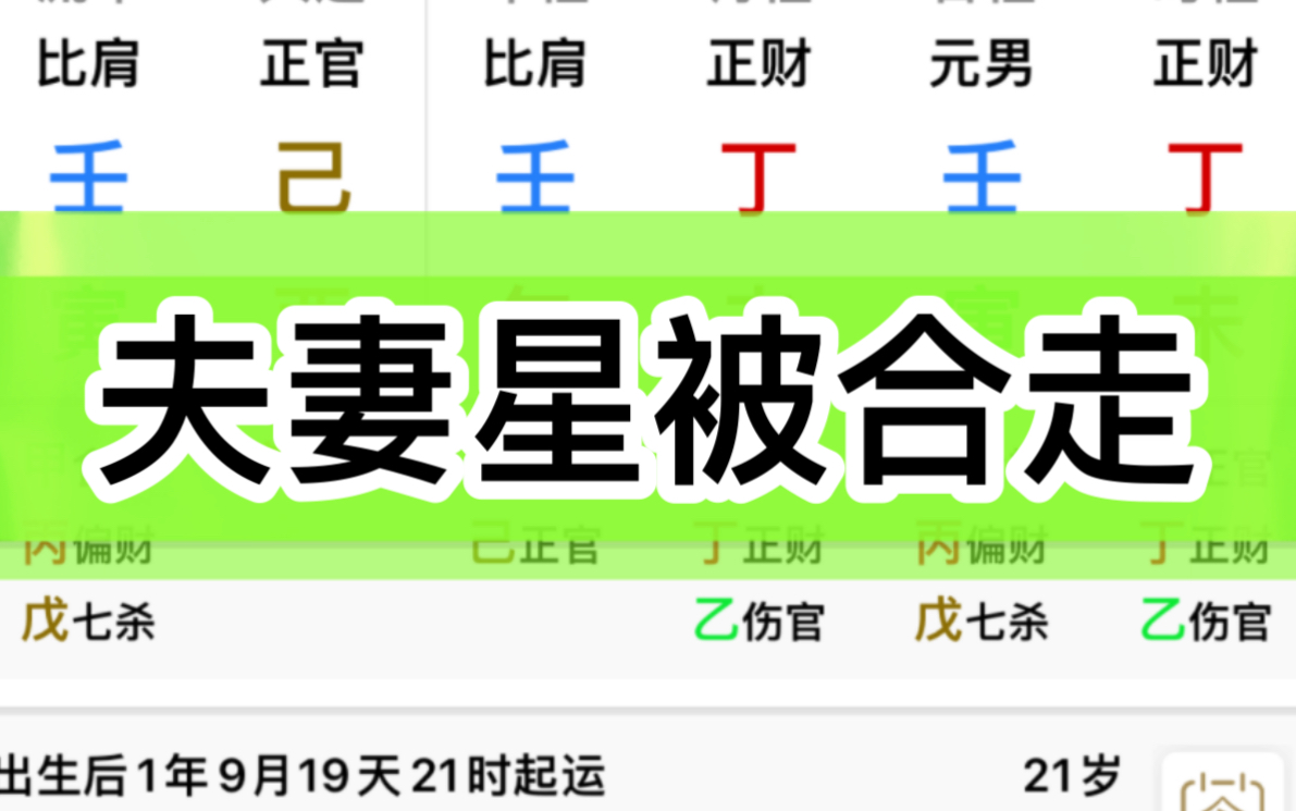 夫妻星被比劫争合~感情中容易被原谅~当然是选择原谅他了~哔哩哔哩bilibili