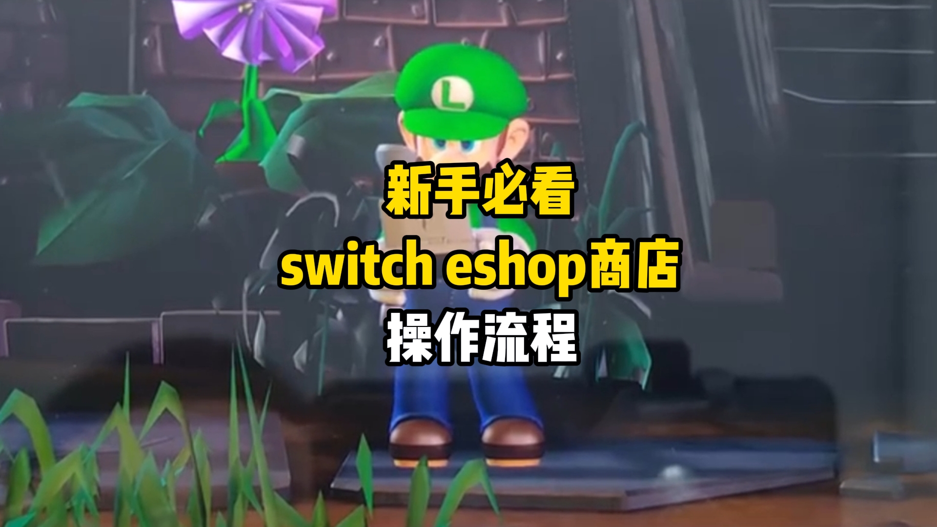 新手必看switcheshop商店操作流程哔哩哔哩bilibili