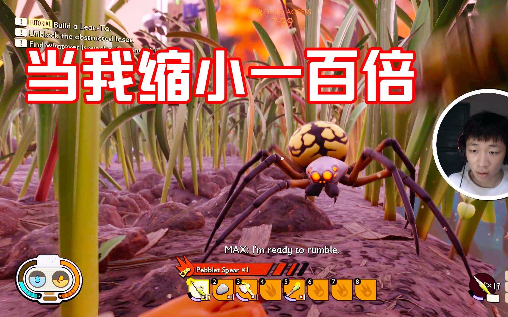 grounded全新生存游戏:挑战杀死可恶的蜘蛛