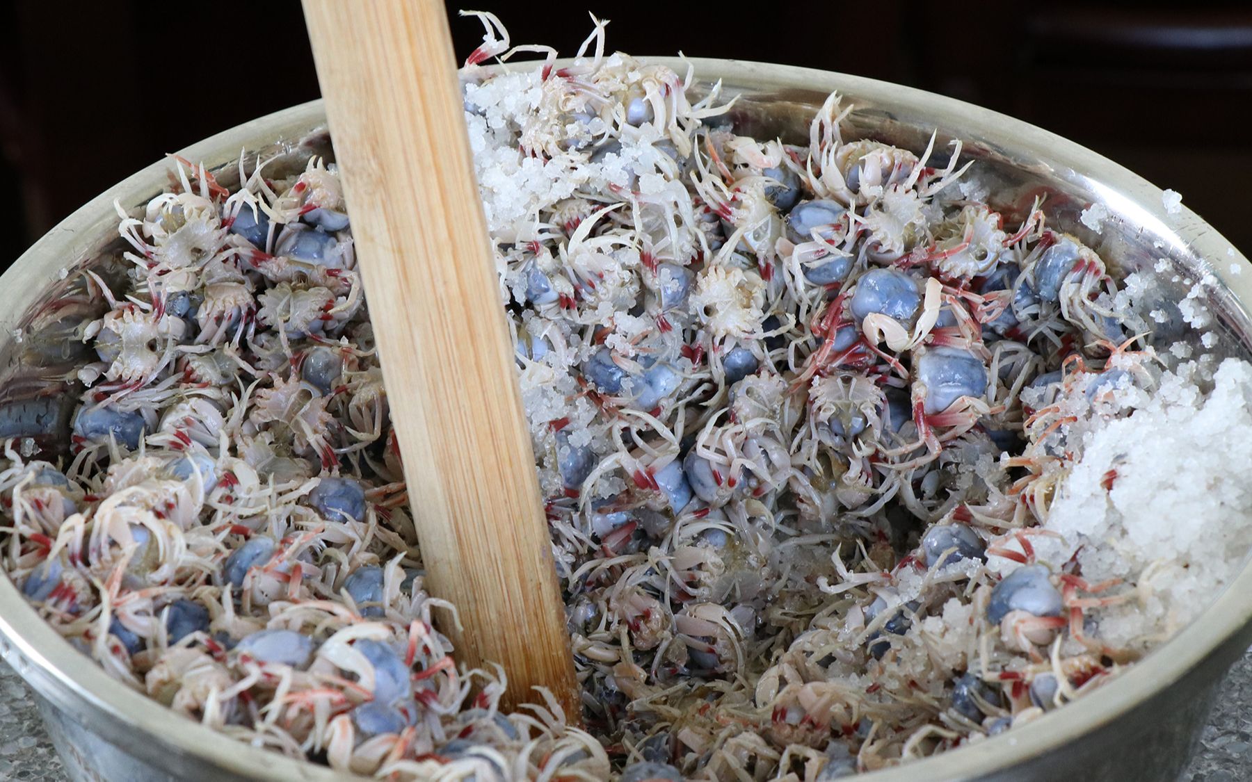 家乡舌尖美食沙蟹汁,很多外地人吃不习惯,在当地却供不应求