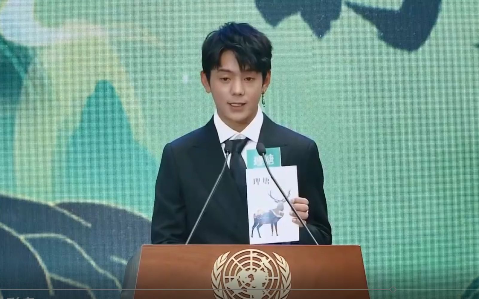 活动作品丁真联合国演讲完整带字幕版