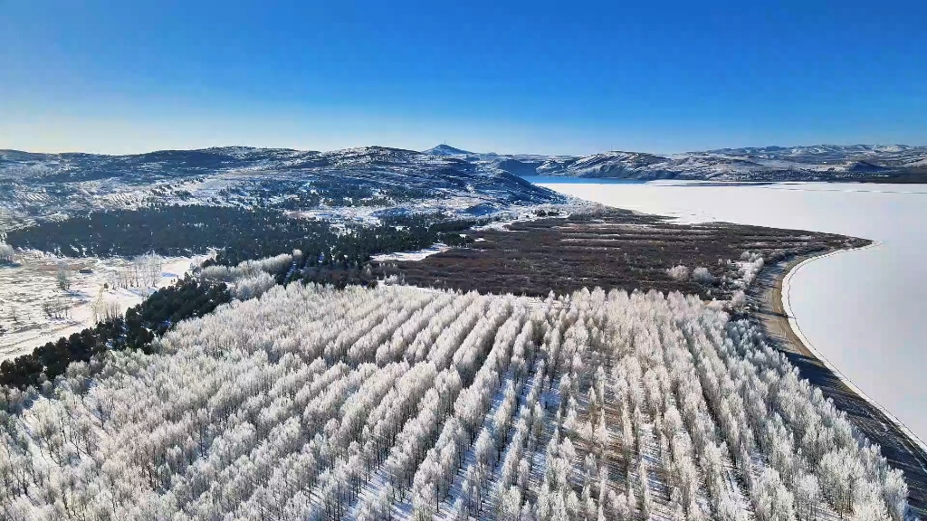 今天的多伦湖景区!雾凇美景!目之所及,美轮美奂!