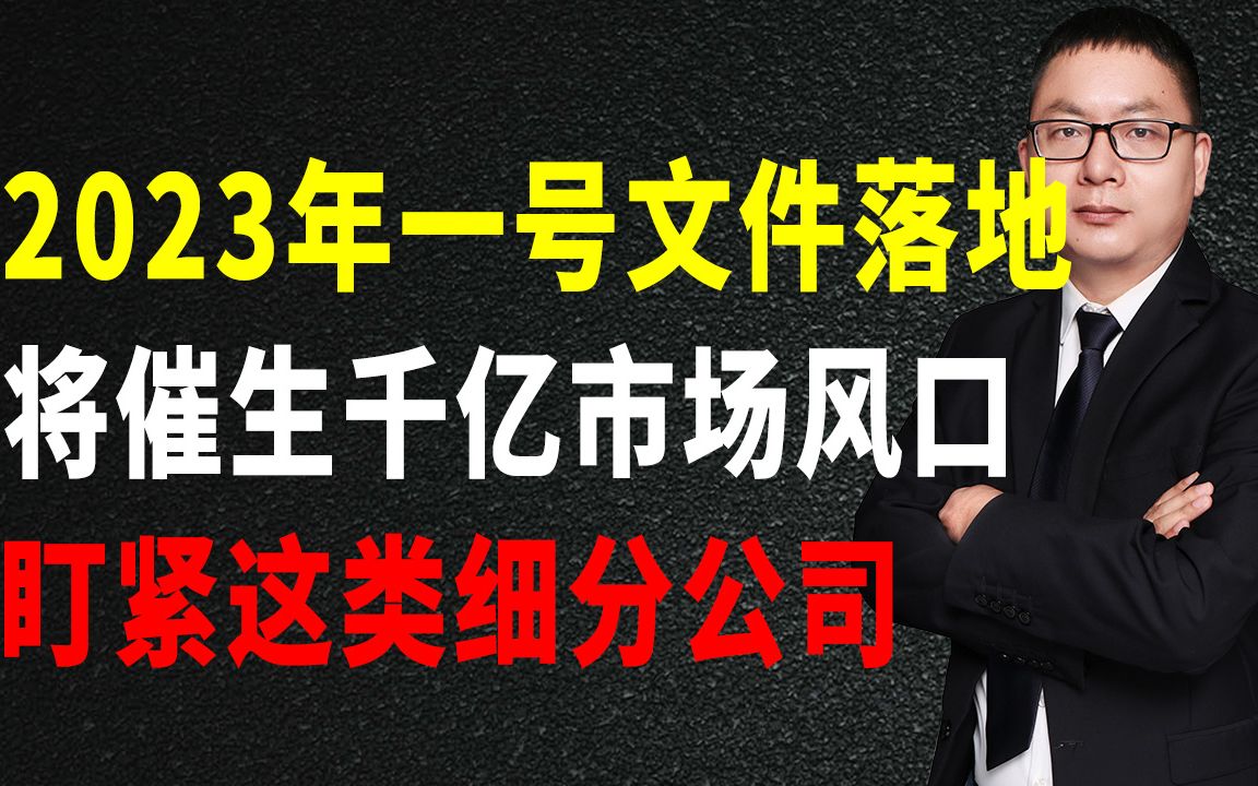 2023年一号文件落地,将催生千亿市场风口,盯紧这类细分公司哔哩哔哩bilibili