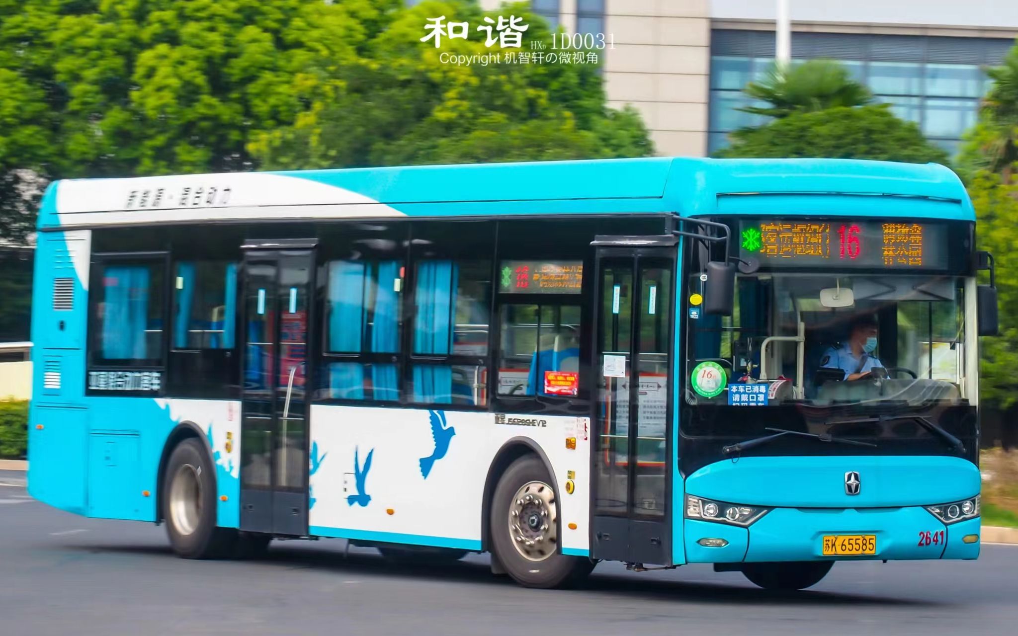 【一城一景】揚州公交16路全程pov 西部客運樞紐→潤揚森林公園 【pov