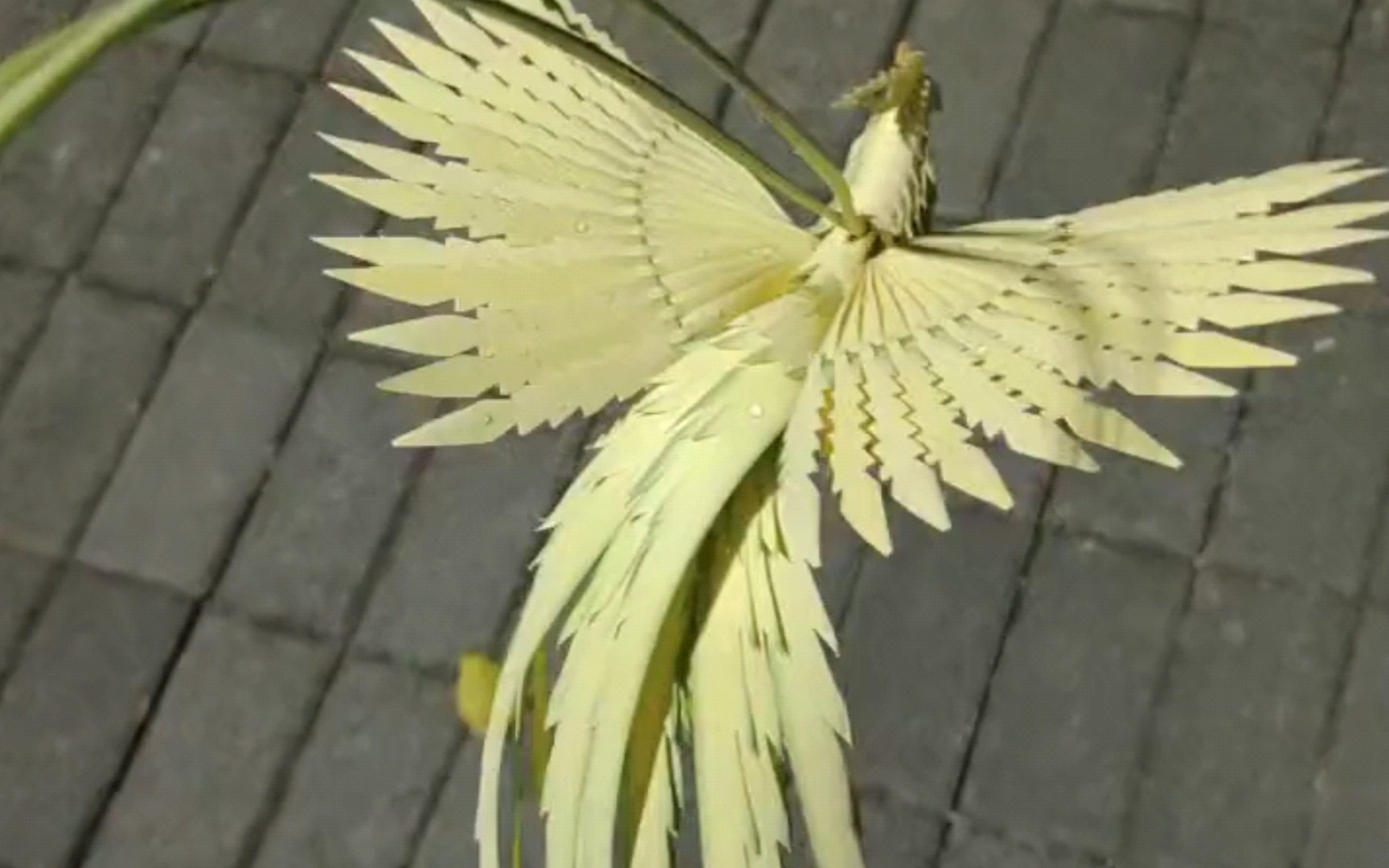 有这样一只草编凤凰超酷的,好嘛!_哔哩哔哩_bilibili