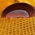 老妈在深山里买的蜂蜜，看上去就像色拉油！勺子挖上去我咽口水了
