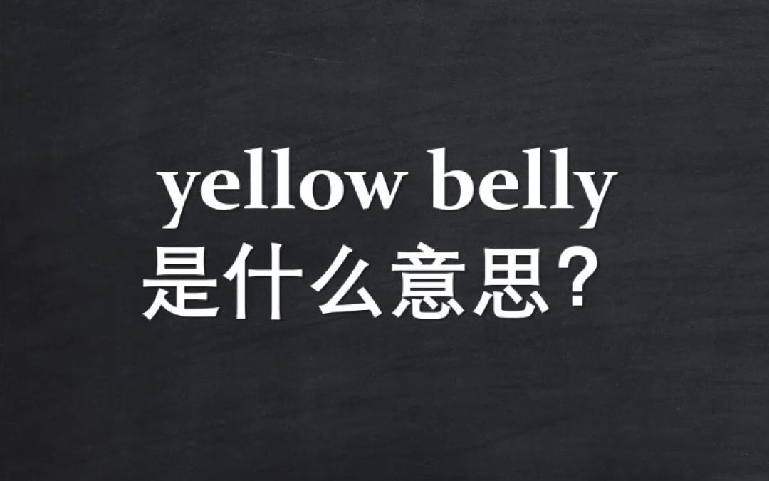 [图]Yellow belly是什么意思？