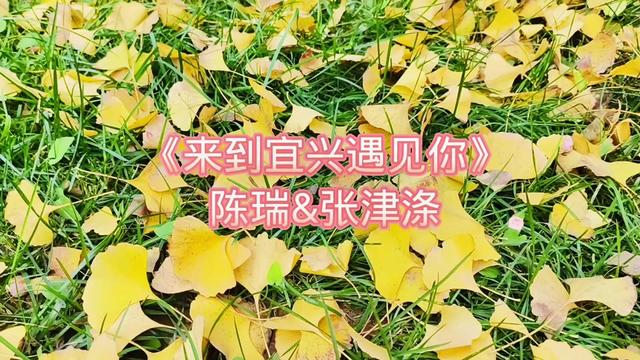 [图]《来到宜兴遇见你》陈瑞&冷漠